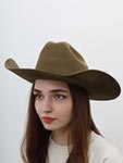 Шляпа BAILEY арт. W1702B TRAVELLER (коричневый)